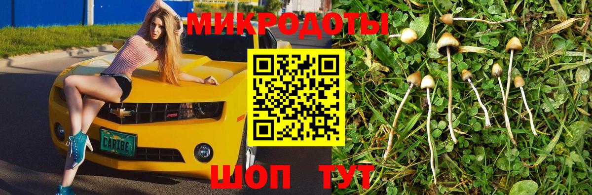 Псилоцибиновые грибы мицелий  закладки  Усть-Илимск  Псилоцибиновые грибы Psilocybe  Вход с VPN 