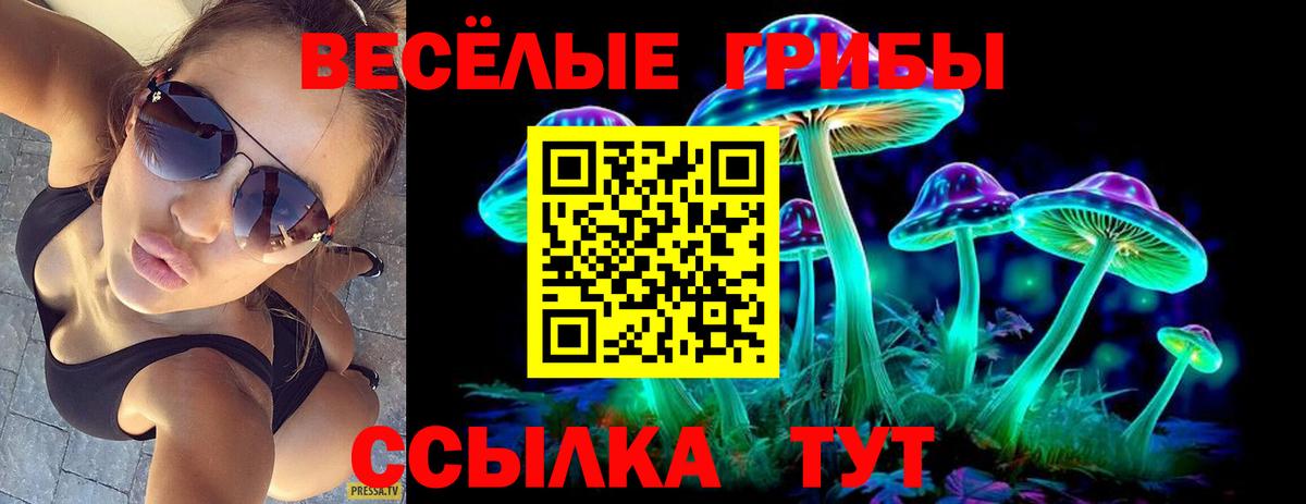 Псилоцибиновые грибы Magic Shrooms Усть-Илимск